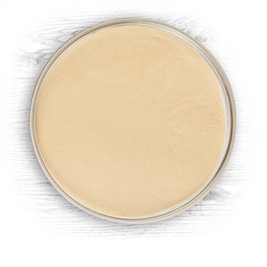 Briess CBW Pale Ale Dry Malt Extract (DME) - 1 lb Bag