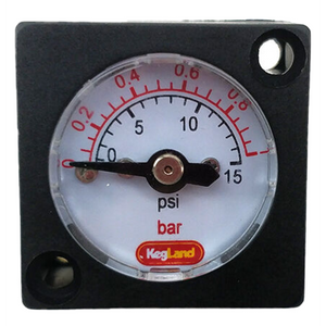 Mini Pressure Gauge (0-15 PSI)