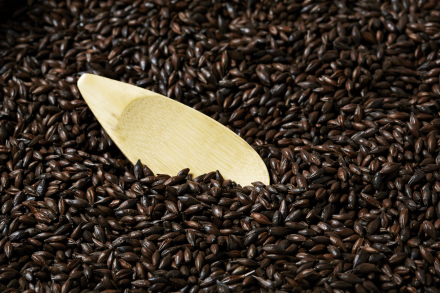 The Swaen Blackswaen Coffee Malt 1 oz